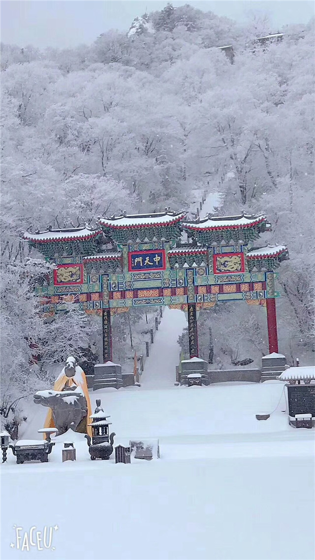 (图:栾川老君山风景区雪景)