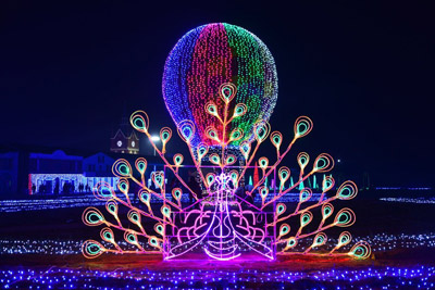 流光溢彩如梦如幻万开拉维斯庄园郑州首届国际梦幻灯光节在新郑举行