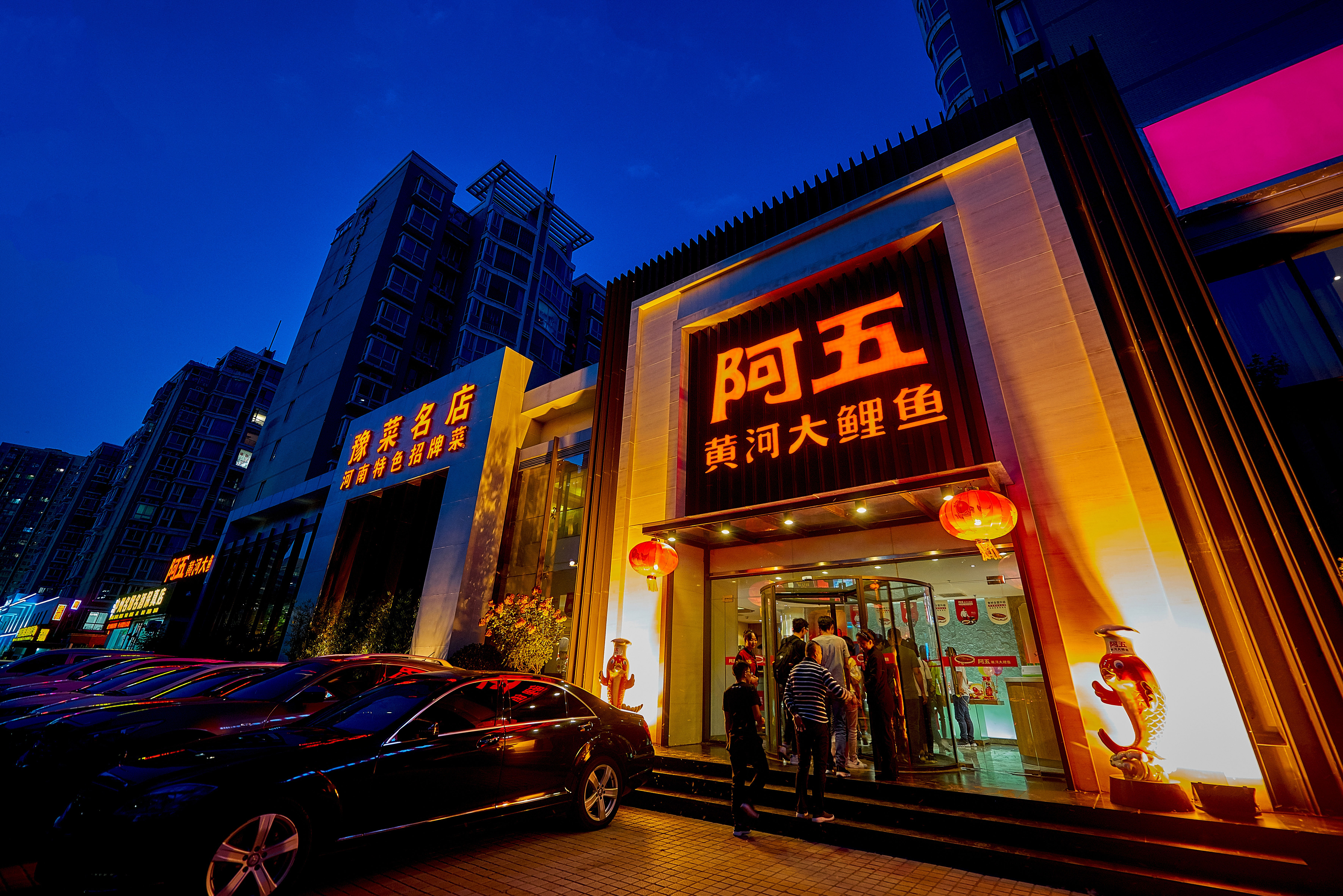 阿五黄河大鲤鱼品牌新 logo正式亮相【内含福利】-大河新闻