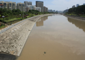 一场大雨后 河渠水变黄