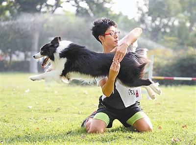 开封小伙做训犬师8年动作娴熟令人啧啧称奇