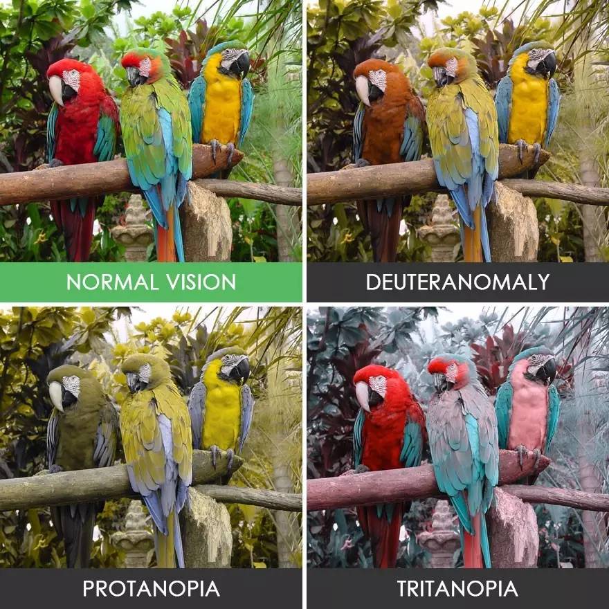 他们自带滤镜同一个世界看到的却是另一个世界